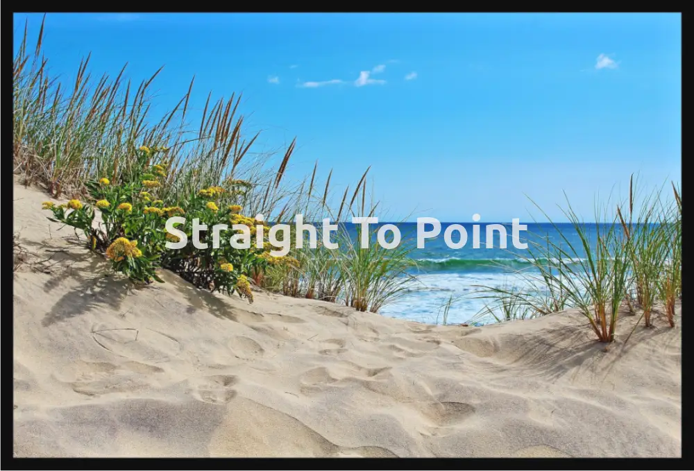 Beach Flower WhiteWall App Product