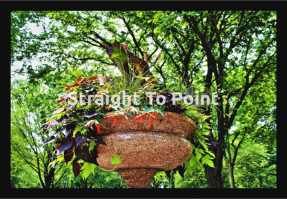 Beautiful Planter WhiteWall App Product