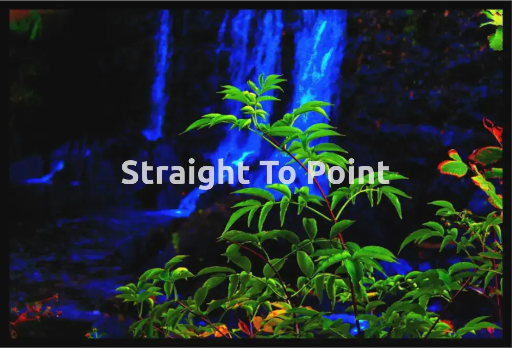 The Plant And Water WhiteWall App Product